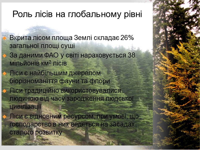 Вкрита лісом площа Землі складає 26% загальної площі суші За даними ФАО у світі